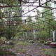 Illustration for article titled The Myth of an Untouched Chernobyl